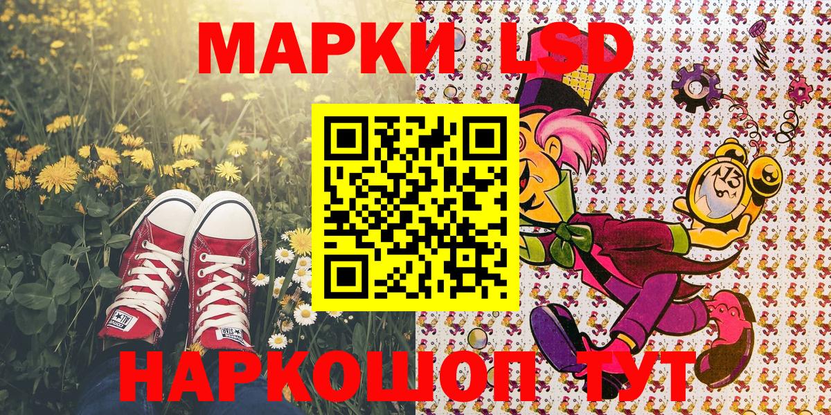 МЕФ Кизилюрт